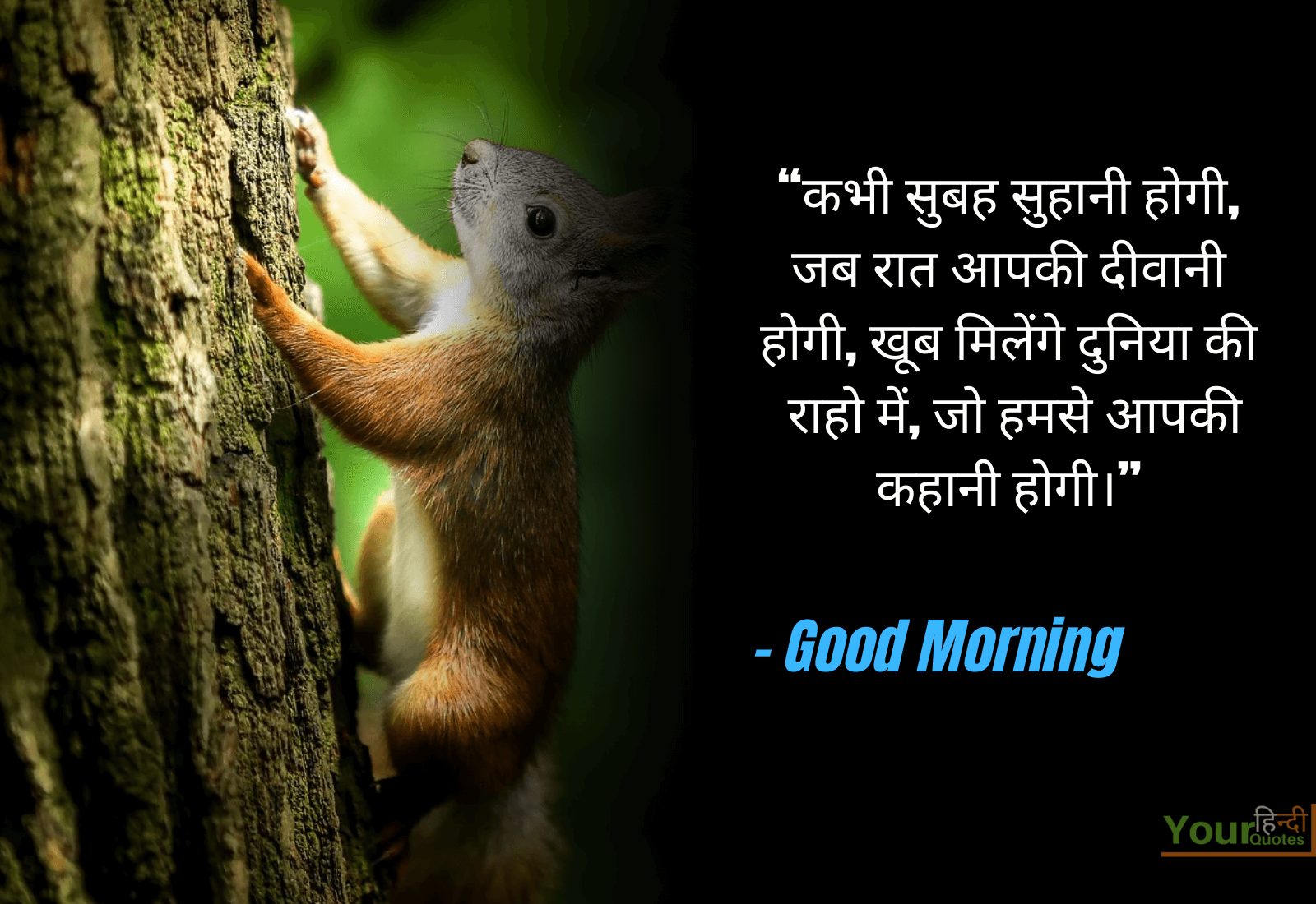Good Morning Hindi Shayari Images